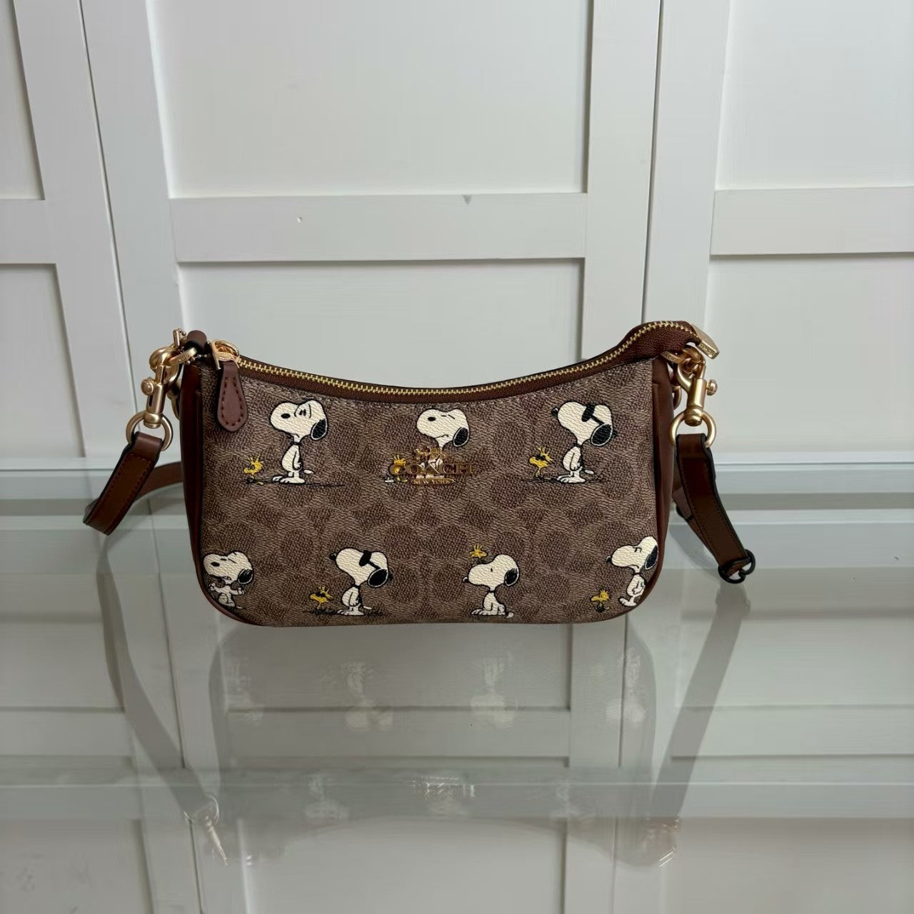 Coach Signature Canvas Tote Bag – Beige Monogram 🤎